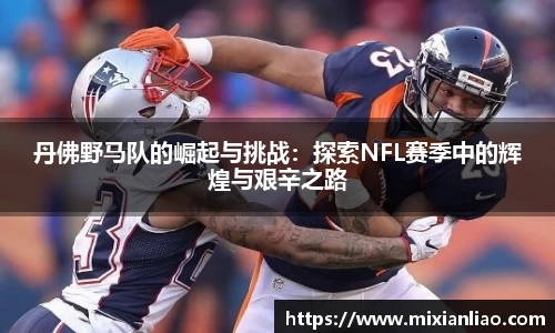 丹佛野马队的崛起与挑战：探索NFL赛季中的辉煌与艰辛之路