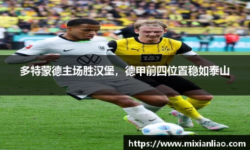 多特蒙德主场胜汉堡，德甲前四位置稳如泰山